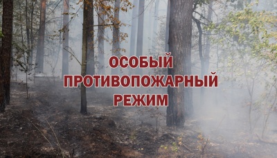 Установление особого противопожарного режима на территории Псковской области