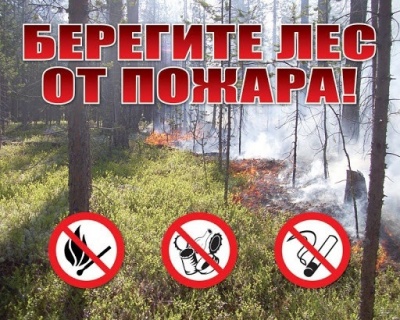 В Себежском районе объявлена высокая пожарная опасность 5-го класса!