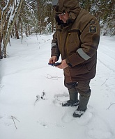 Итоги зимнего маршрутного учета животных подвели сотрудники Национального парка «Себежский» и Государственного природного заказника «Ремдовский»
