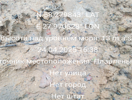 Рис. 3,4 . Следы бурого медведя  на песке и экскременты. Фото А.И.Стукальцов.
